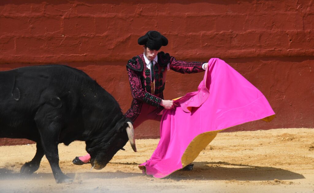 Fotogalería Novillada Guillena