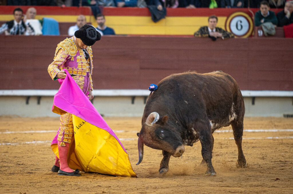 Roca Rey y Aguado comienzan su temporada con triunfos