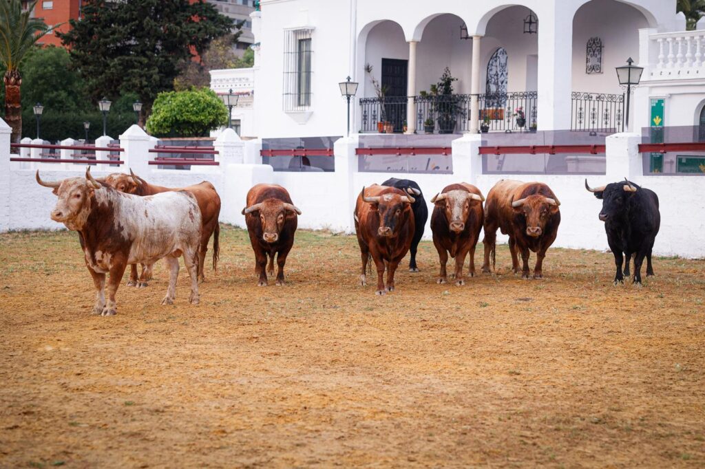 real venta de antequera
