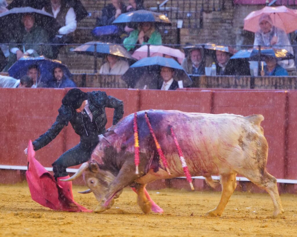 Pepe Moral se impone al diluvio en la Maestranza 