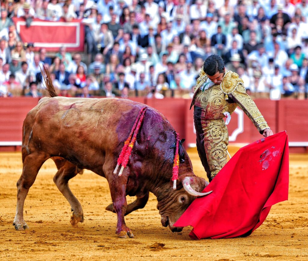 morante de la puebla