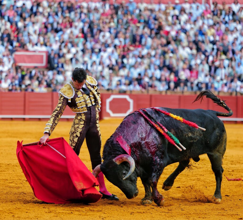 Juan Pedro, en Sevilla, así no