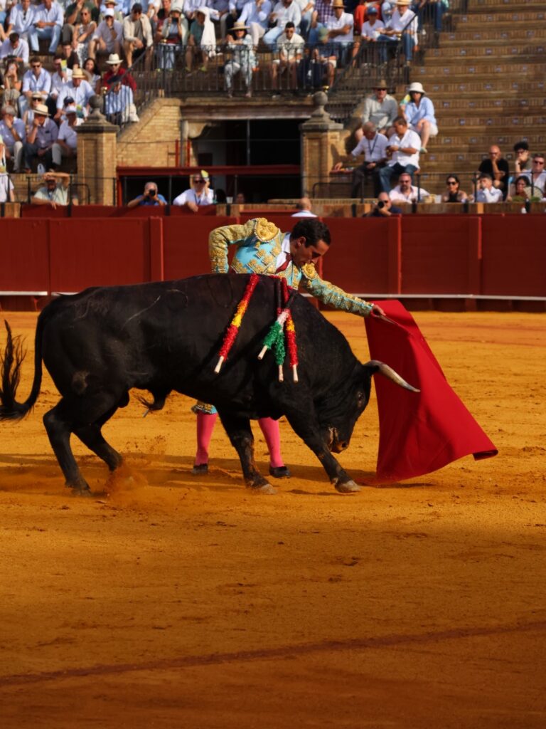 López Peregrino