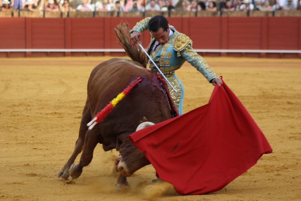 López Peregrino corta la única oreja de una tarde marcada por la falta de fuerza de la novillada-FOTOGALERÍA