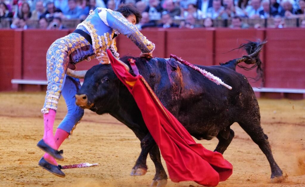 Roca Rey causa baja en Valladolid y acelera su recuperación