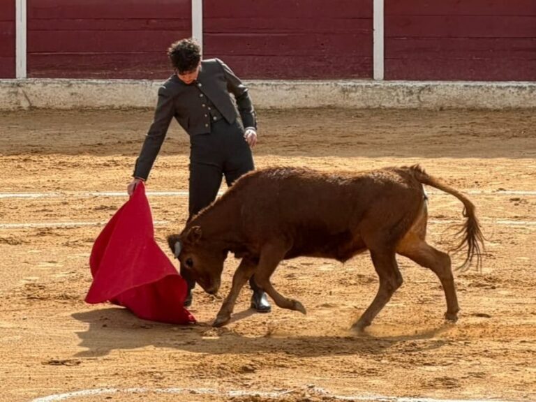 Álvaro Puig Simón, juventud y esperanza para el toreo en Calanda