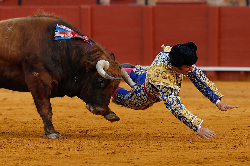 Morante
