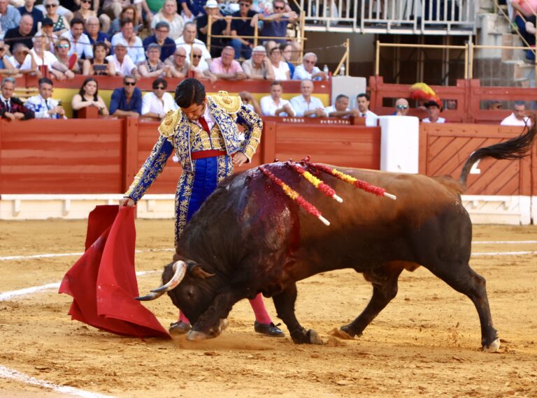 Morante conquista Alicante y renuncia a la Puerta Grande