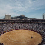 Alicante