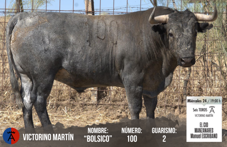 Los toros de Victorino Martín ya están en Alicante para el histórico cartel de Manzanares en Hogueras 2026