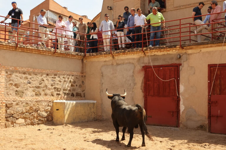 Morante abre el esperado Corpus de Toledo con “Bacoreta”, de Zalduendo