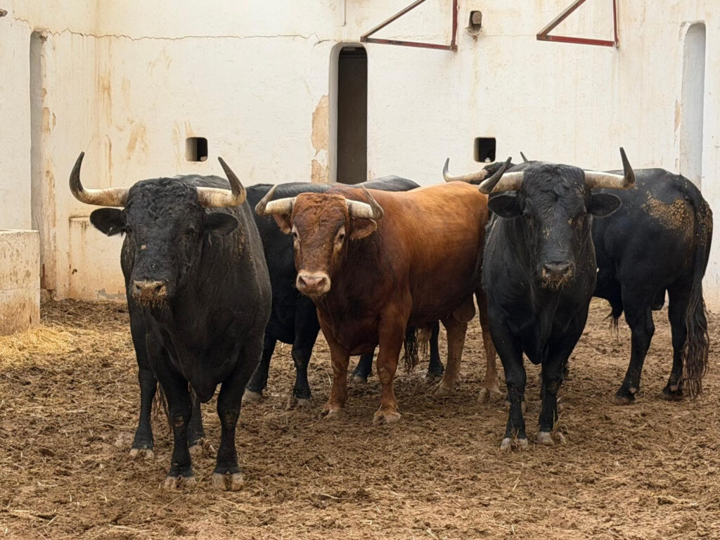 La corrida de Álvaro Núñez ya espera a Morante, Manzanares y Roca Rey