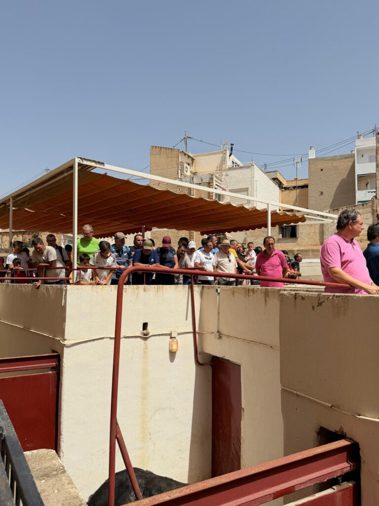 feria de hogueras