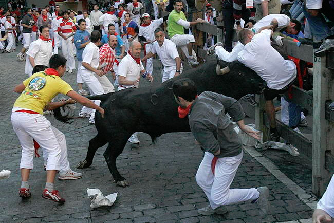 A Pamplona hemos de ir: «Universal, un toro de récord»