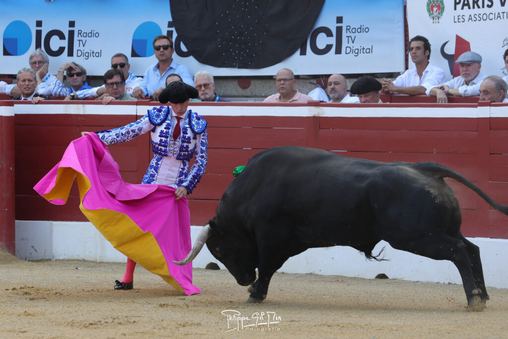 Daniel Luque