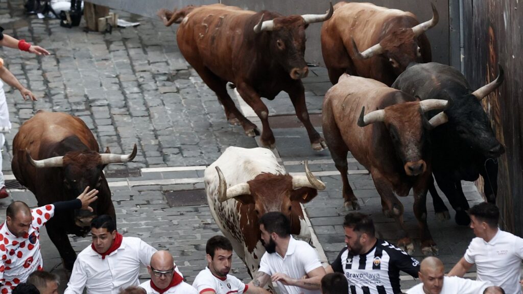 A Pamplona hemos de ir: «Y el último,Miura»
