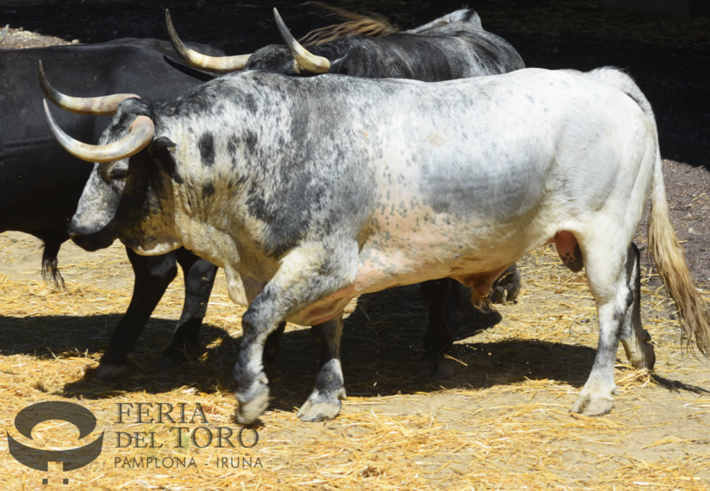 Fuente Ymbro