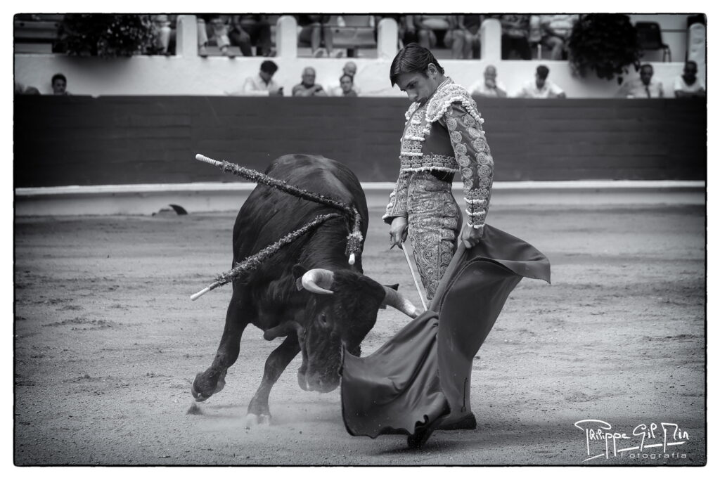 La novillada sin picadores de Saint-Vincent de Tyrosse, en la mirada fotográfica de Philippe Gil Mir
