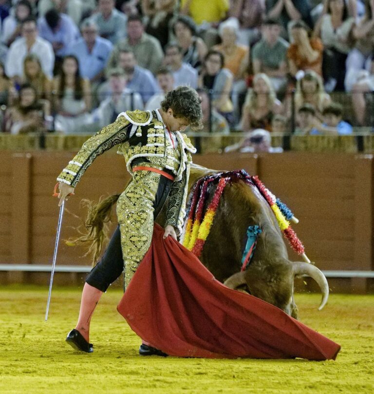 Montoro lista para albergar la gran semifinal del ciclo de promoción de novilladas de Canal Sur