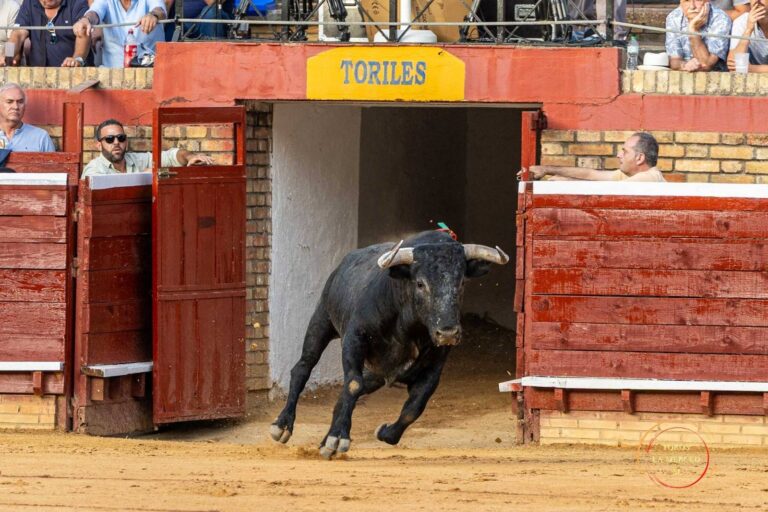 Hacía falta una corrida de Miura en Huelva