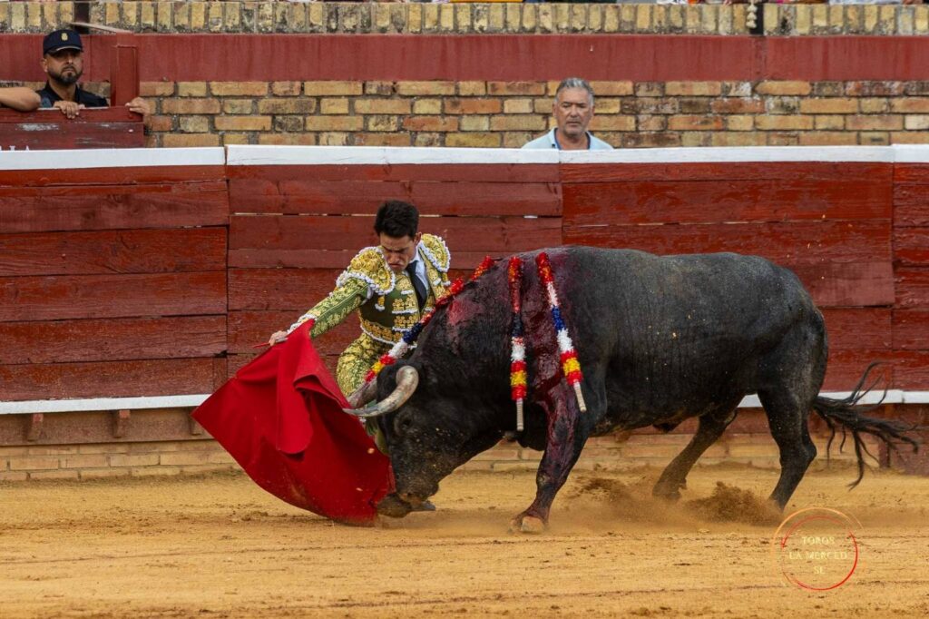 alejandro conquero