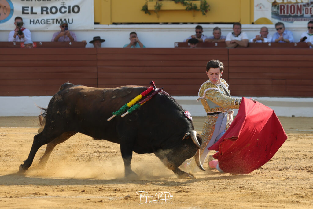 El cierre de la Feria del Novillo de Hagetmau, en la mirada fotográfica de Philippe Gil Mir