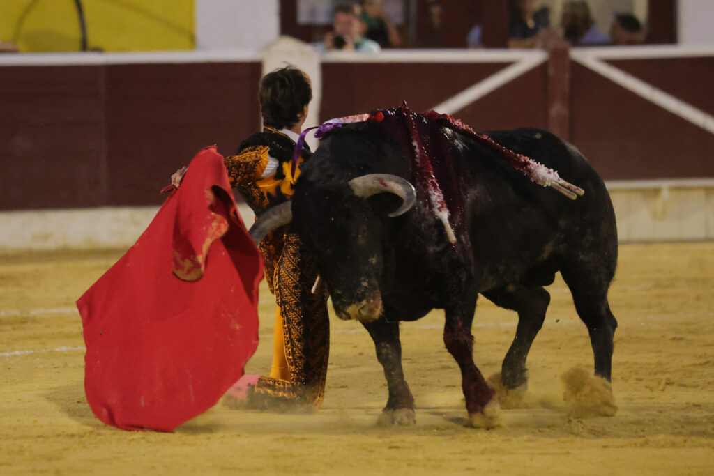 La tercera de la Feria de la Albahaca, en la mirada fotográfica de Philippe Gil Mir