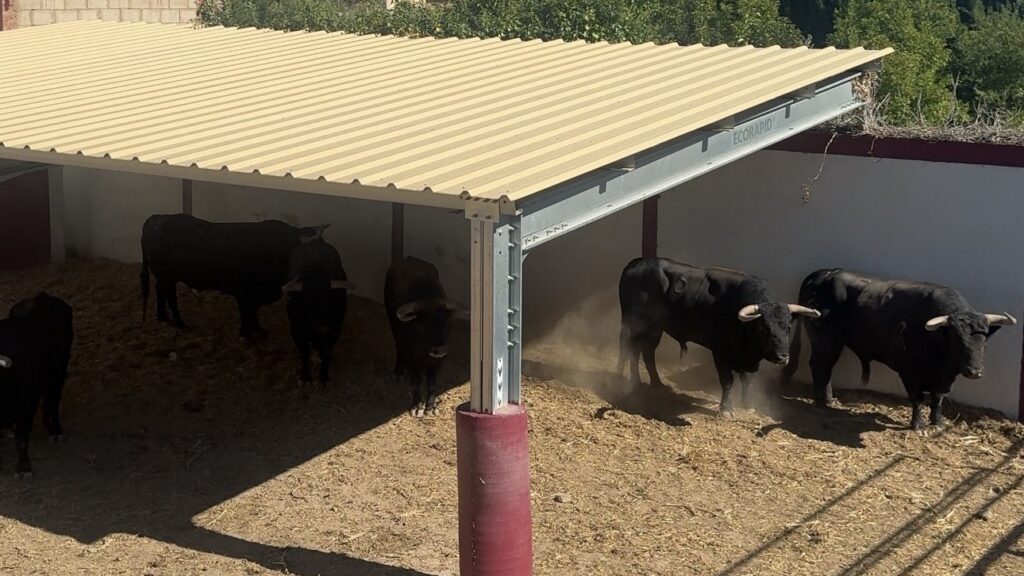 Sorteados los toros de Fuente Ymbro para la primera de abono en Tarazona