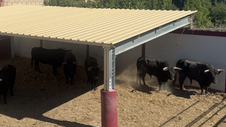 Sorteados los toros de Fuente Ymbro para la primera de abono en Tarazona