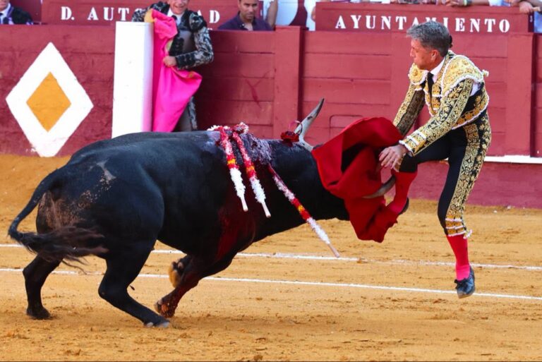 Manuel Escribano fuera de peligro tras una nueva gesta heroica en Málaga