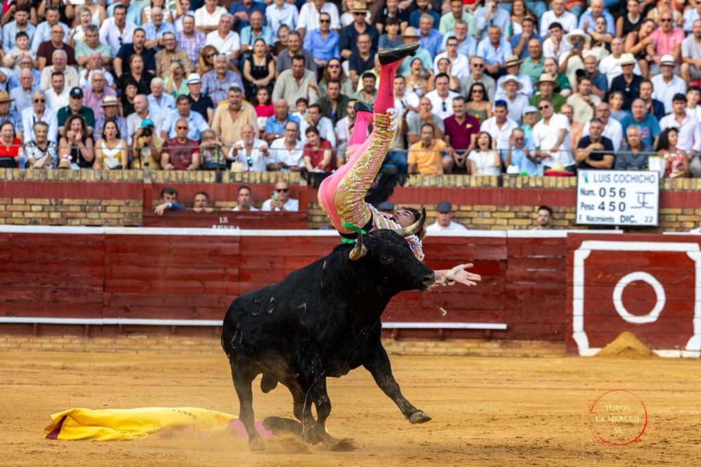 Colombinas