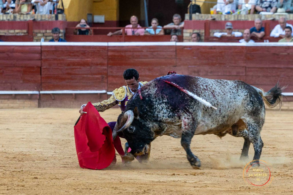 David de Miranda