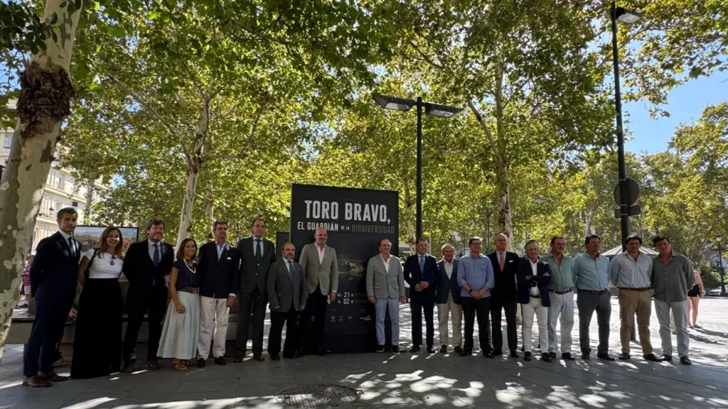 Toro bravo