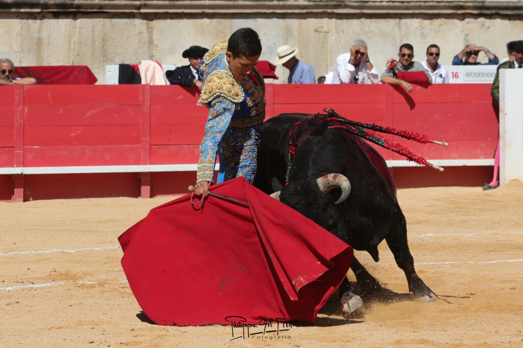La segunda de la Feria de la Vendimia, en la mirada fotográfica de Philippe Gil Mir