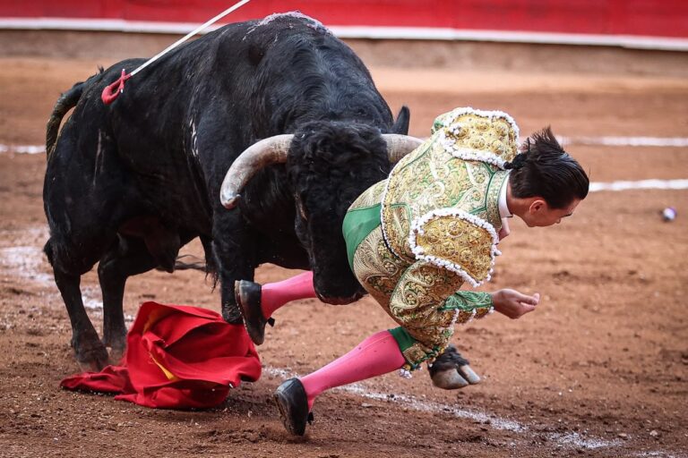 Bruno Aloi evoluciona favorablemente tras sufrir una grave cornada en Zacatecas