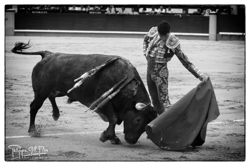 El cierre del mes torista en Madrid, en la mirada fotográfica de Philippe Gil Mir