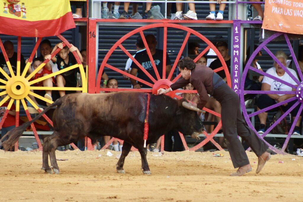 Toda la tarde esperando el ¡vaca va!