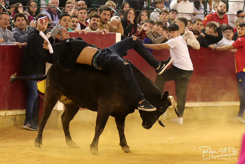vaquillas