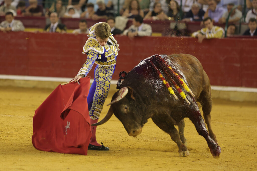 zaragoza