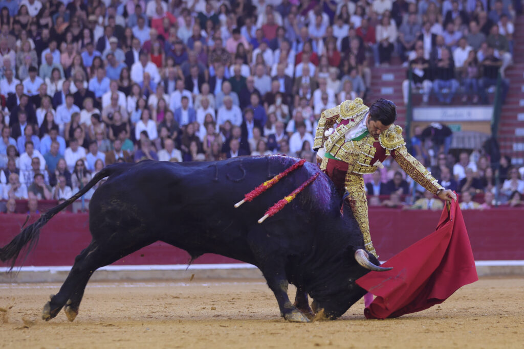 zaragoza