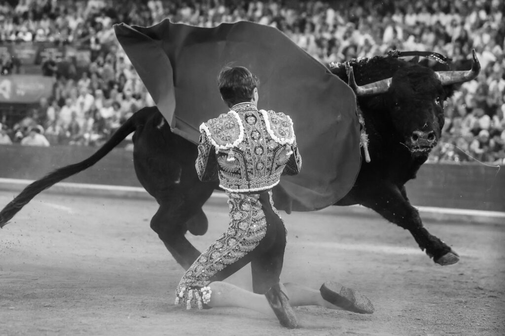 El reencuentro de Aarón Palacio con los aceros para hacer grande el toreo en Aragón